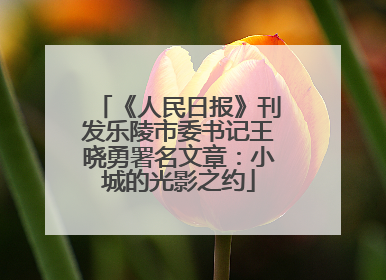 《人民日报》刊发乐陵市委书记王晓勇署名文章：小城的光影之约