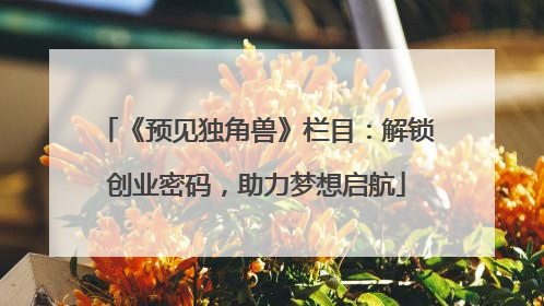 《预见独角兽》栏目：解锁创业密码，助力梦想启航