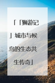 「狮游记」城市与候鸟的生态共生传奇