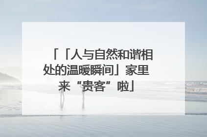 「人与自然和谐相处的温暖瞬间」家里来“贵客”啦