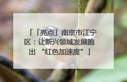 「亮点」南京市江宁区：让新兴领域发展跑出 “红色加速度”