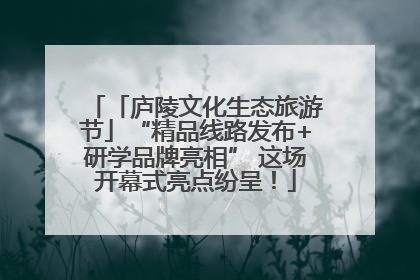 「庐陵文化生态旅游节」“精品线路发布+研学品牌亮相” 这场开幕式亮点纷呈！