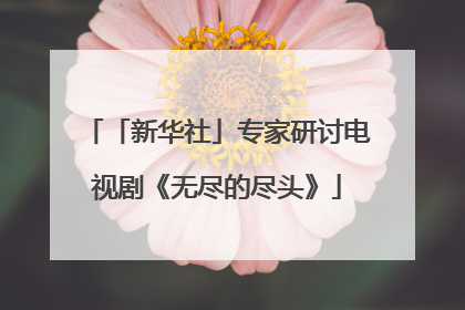 「新华社」专家研讨电视剧《无尽的尽头》