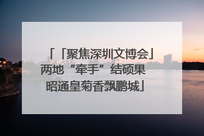 「聚焦深圳文博会」两地“牵手”结硕果 昭通皇菊香飘鹏城