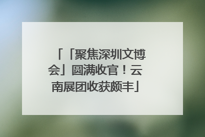 「聚焦深圳文博会」圆满收官！云南展团收获颇丰