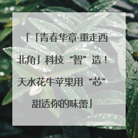 「青春华章·重走西北角」科技“智”造！天水花牛苹果用“芯”甜透你的味蕾
