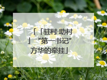 「驻村·助村」“第一书记”方华的牵挂