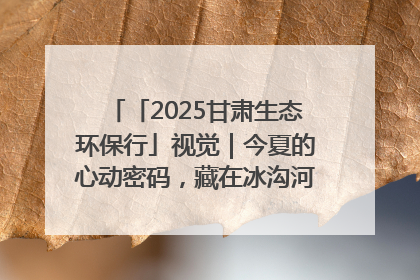 「2025甘肃生态环保行」视觉｜今夏的心动密码，藏在冰沟河的潋滟波光里