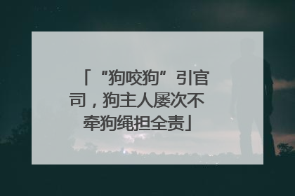 “狗咬狗”引官司，狗主人屡次不牵狗绳担全责