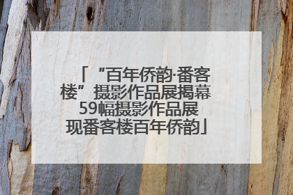 “百年侨韵·番客楼”摄影作品展揭幕 59幅摄影作品展现番客楼百年侨韵