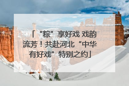 “粽”享好戏 戏韵流芳！共赴河北“中华有好戏”特别之约