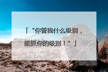 “你管我什么级别，能抓你的级别！”