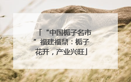 “中国栀子名市”福建福鼎：栀子花开，产业兴旺