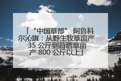 “中国草都” 阿鲁科尔沁旗：从野生牧草亩产 35 公斤到苜蓿草亩产 800 公斤以上