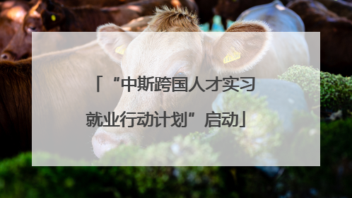 “中斯跨国人才实习就业行动计划”启动