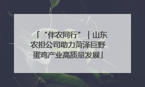 “伴农同行”｜山东农担公司助力菏泽巨野蛋鸡产业高质量发展
