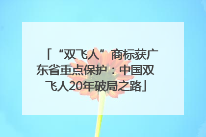 “双飞人”商标获广东省重点保护：中国双飞人20年破局之路