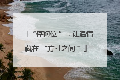 “停狗位 ”:让温情藏在 “方寸之间 ”