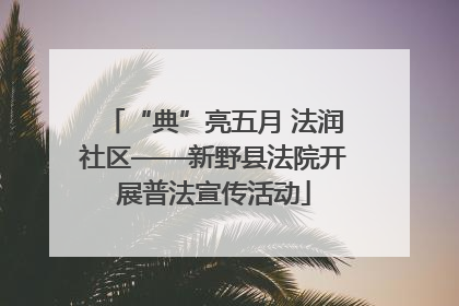 “典”亮五月 法润社区——新野县法院开展普法宣传活动