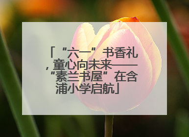 “六一”书香礼，童心向未来——“素兰书屋”在含浦小学启航