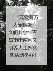 “宠爱有方 人宠相融 文明共享”青岛市市南区文明养犬主题实践活动举办