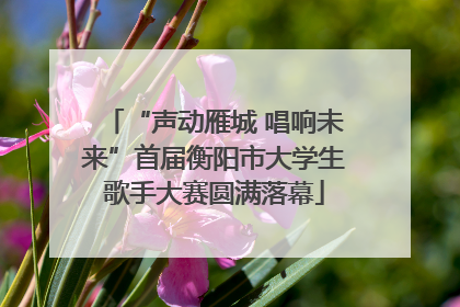 “声动雁城 唱响未来”首届衡阳市大学生歌手大赛圆满落幕