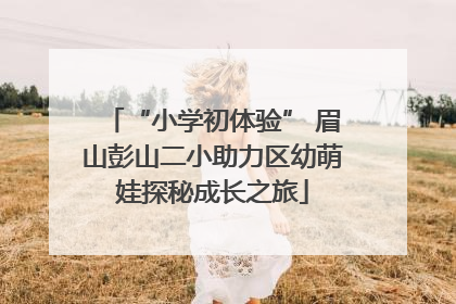 “小学初体验” 眉山彭山二小助力区幼萌娃探秘成长之旅
