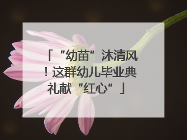 “幼苗”沐清风！这群幼儿毕业典礼献“红心”