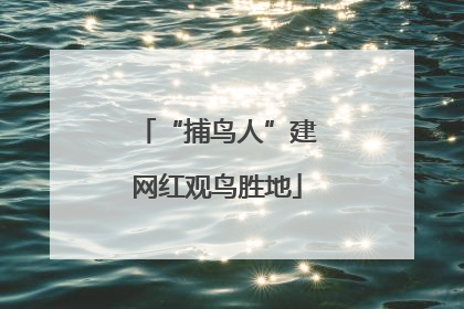 “捕鸟人”建网红观鸟胜地