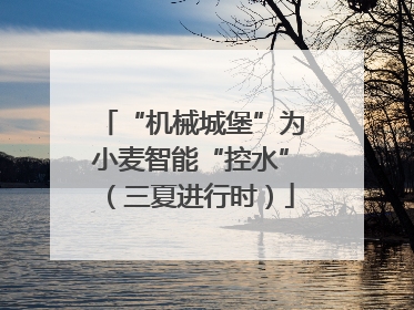“机械城堡”为小麦智能“控水”（三夏进行时）