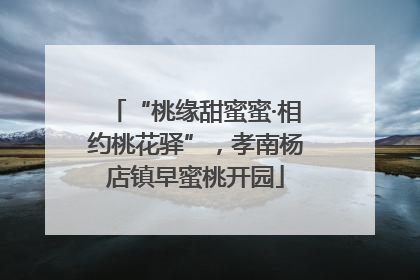 “桃缘甜蜜蜜·相约桃花驿”，孝南杨店镇早蜜桃开园