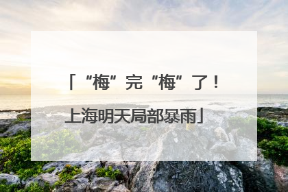 “梅”完“梅”了！上海明天局部暴雨