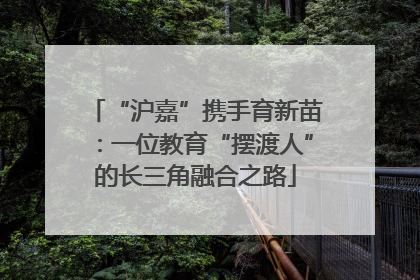 “沪嘉”携手育新苗：一位教育“摆渡人”的长三角融合之路