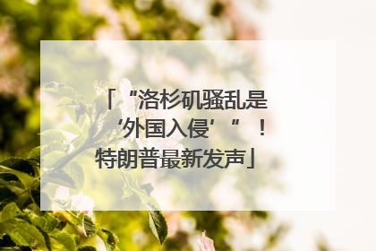 “洛杉矶骚乱是‘外国入侵’”！特朗普最新发声