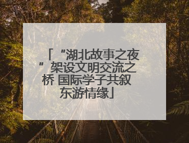 “湖北故事之夜”架设文明交流之桥 国际学子共叙东游情缘