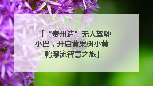 “贵州造”无人驾驶小巴，开启黄果树小黄鸭漂流智慧之旅