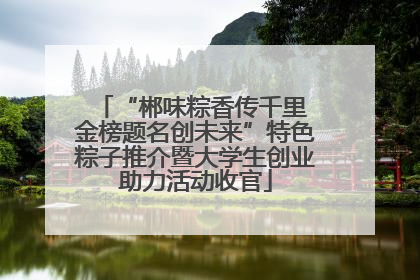 “郴味粽香传千里 金榜题名创未来”特色粽子推介暨大学生创业助力活动收官