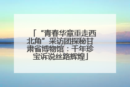 “青春华章重走西北角”采访团探秘甘肃省博物馆：千年珍宝诉说丝路辉煌