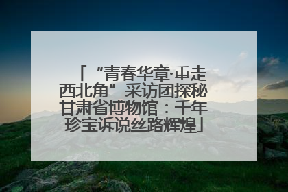 “青春华章·重走西北角”采访团探秘甘肃省博物馆：千年珍宝诉说丝路辉煌