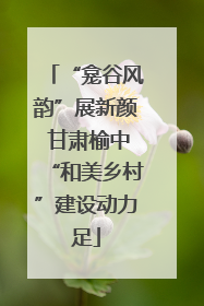 “龛谷风韵”展新颜 甘肃榆中“和美乡村”建设动力足