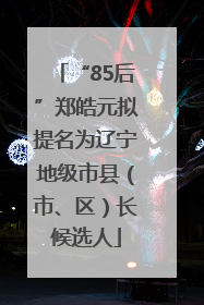 “85后”郑皓元拟提名为辽宁地级市县（市、区）长候选人