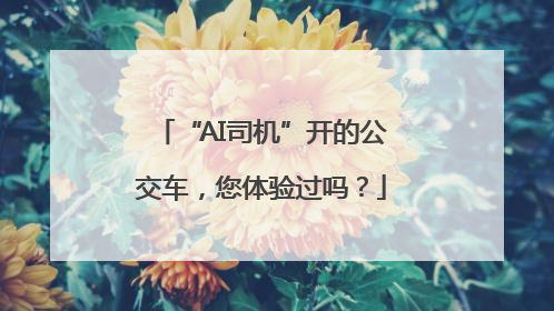 “AI司机”开的公交车，您体验过吗？