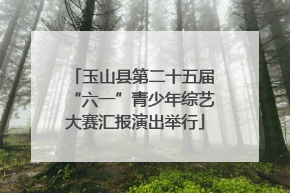 玉山县第二十五届“六一”青少年综艺大赛汇报演出举行