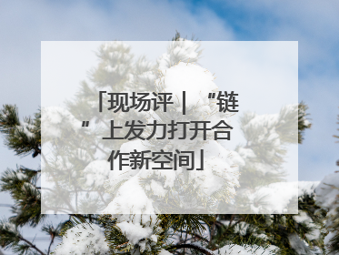 现场评｜“链”上发力打开合作新空间