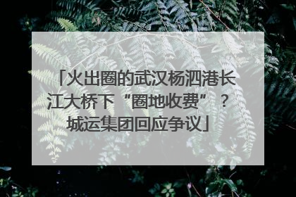 火出圈的武汉杨泗港长江大桥下“圈地收费”？城运集团回应争议
