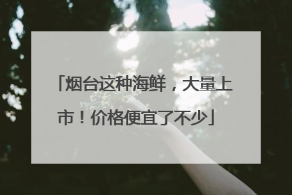 烟台这种海鲜，大量上市！价格便宜了不少