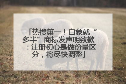 热搜第一！白象就“多半”商标发声明致歉：注册初心是做份量区分，将尽快调整