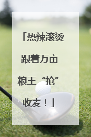 热辣滚烫 跟着万亩粮王“抢”收麦！