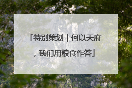 特别策划｜何以天府，我们用粮食作答
