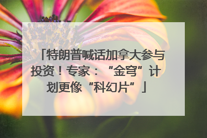 特朗普喊话加拿大参与投资！专家：“金穹”计划更像“科幻片”